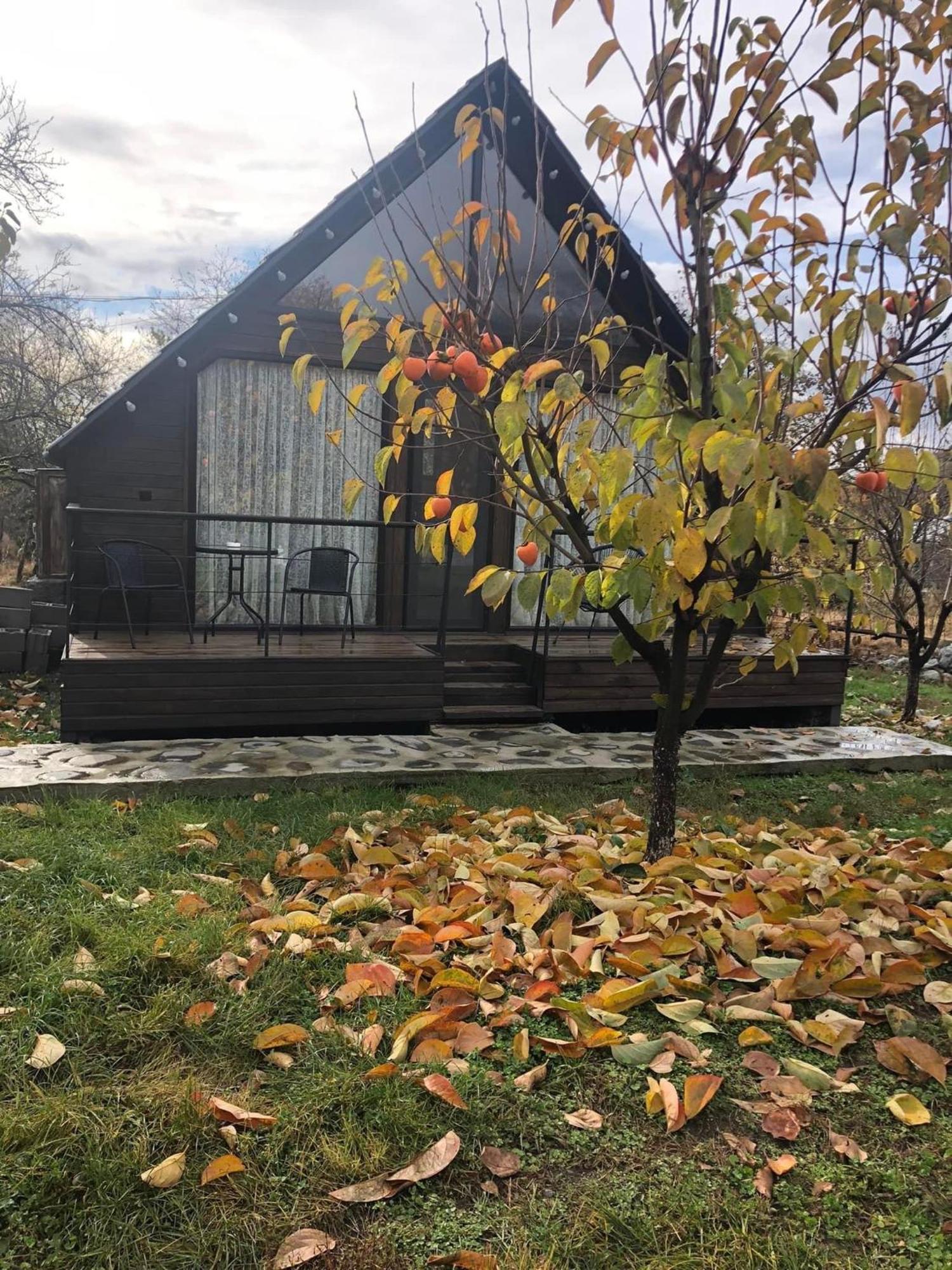 Wood House Lagodechi Exteriör bild